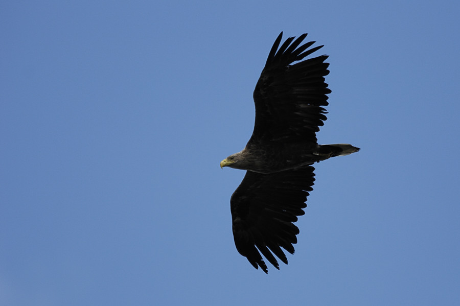 20100529 28 Usedom