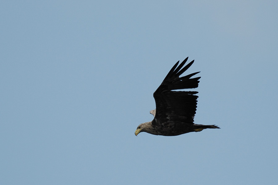 20100529 30 Usedom