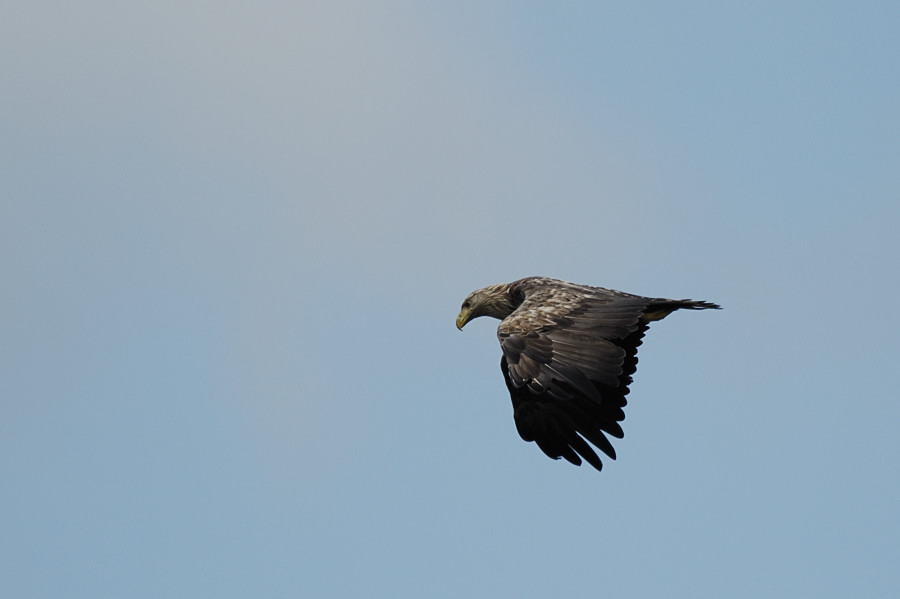 20100529 31 Usedom