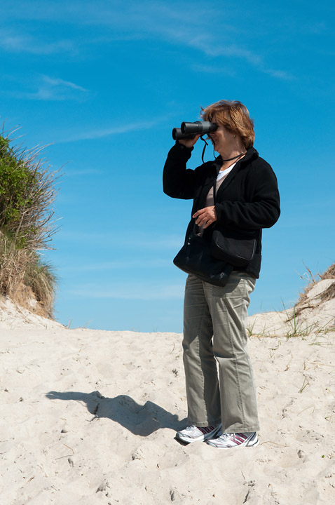 201006012977 - Weitblick