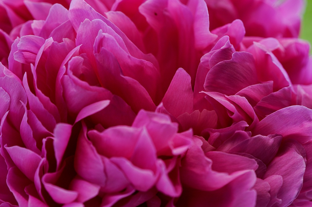20100605 125902