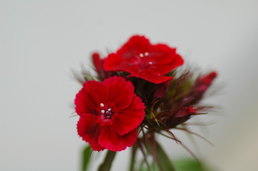 20100613 18