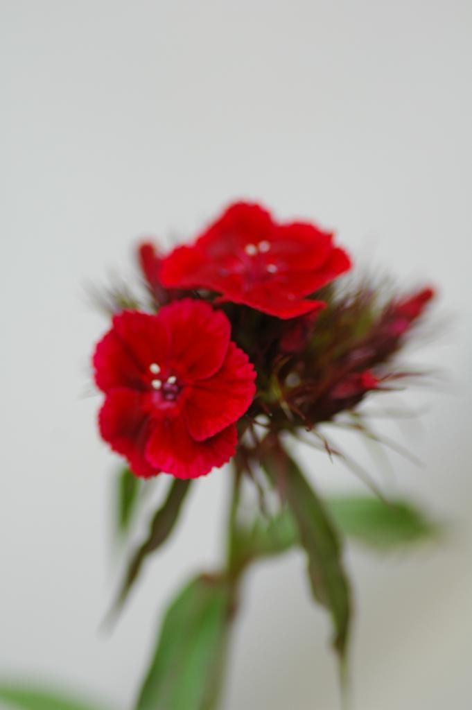 20100613 20