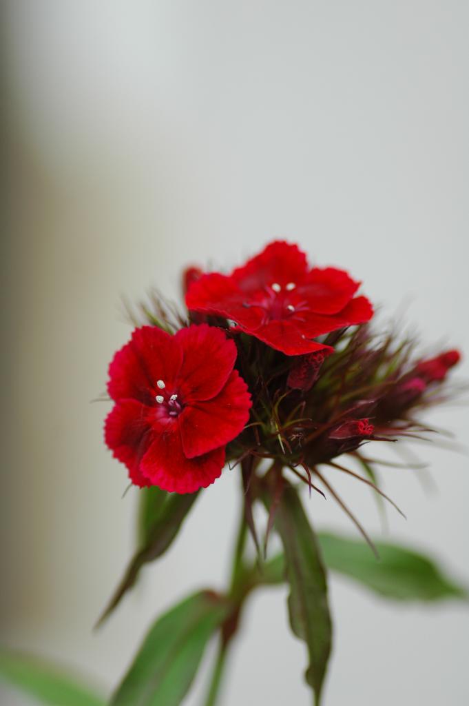 20100613 22