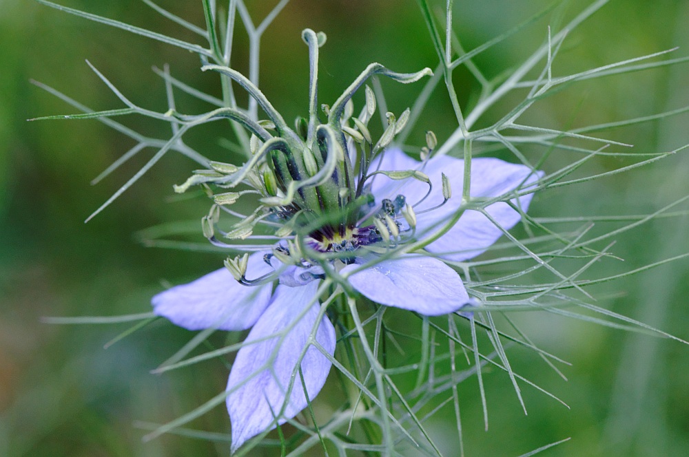 20100615 202946