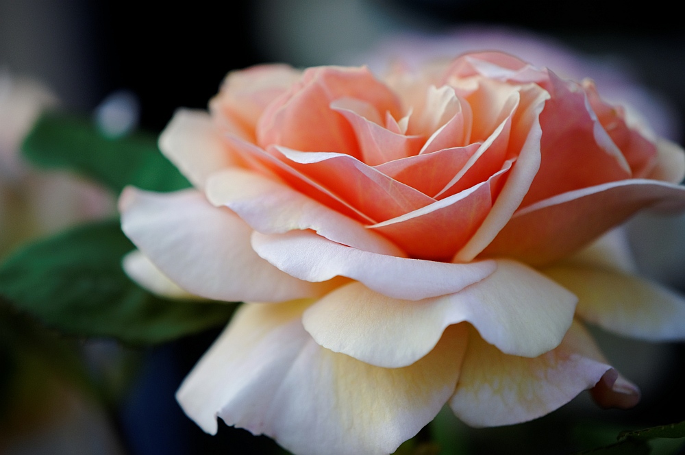 20100615 203656