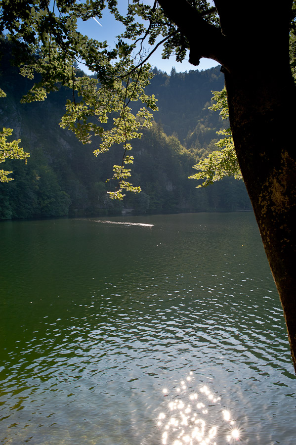 20100709 DSC 4995