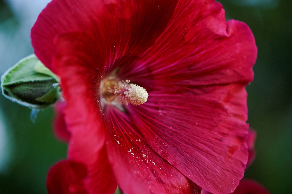 20100713 205146