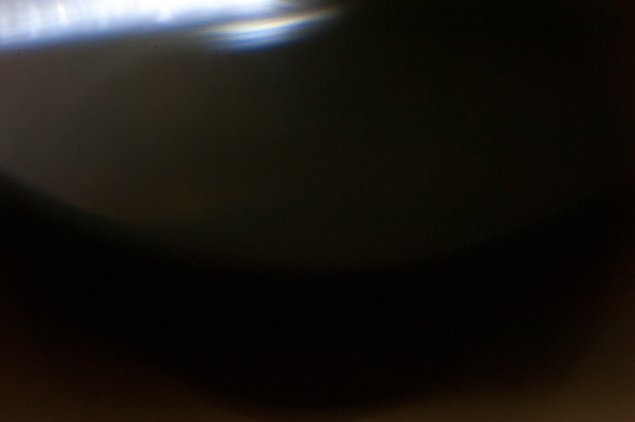 20100716 DSC 5228