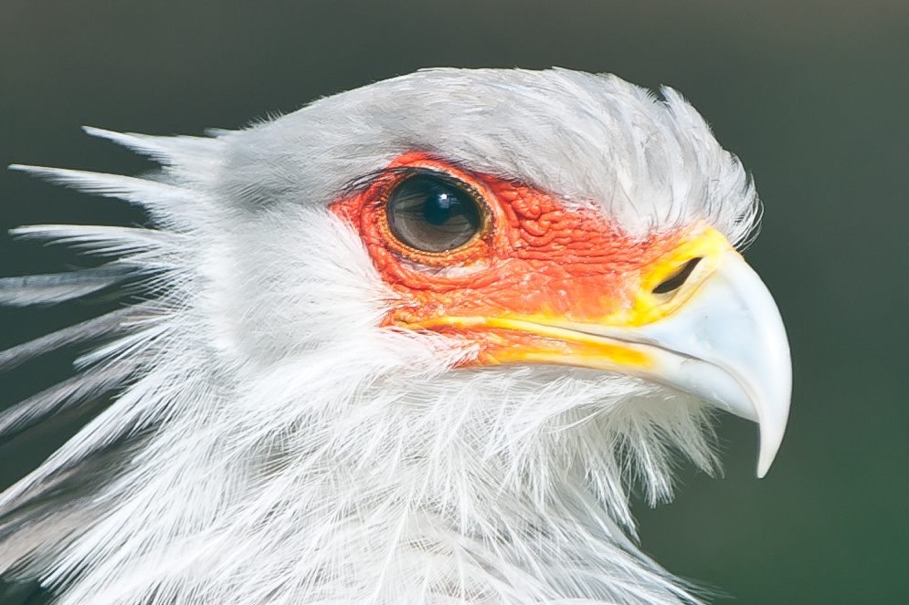 20100717 7511 [NIKON D700],400 mm,1 800 Sek. bei f   4,0 2