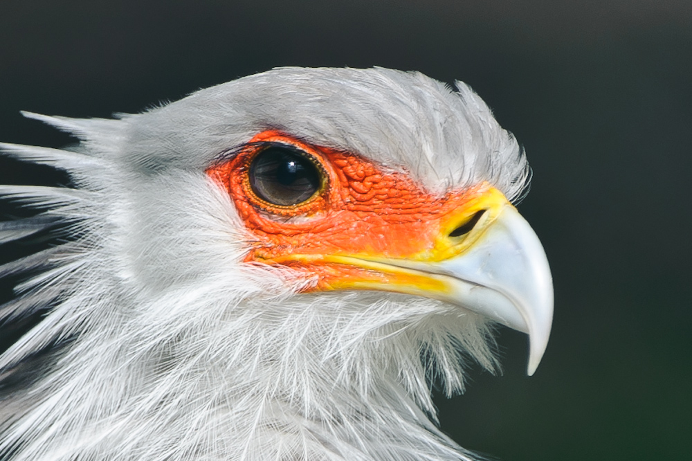 20100717 7511 [NIKON D700],400 mm,1 800 Sek. bei f   4,0 3