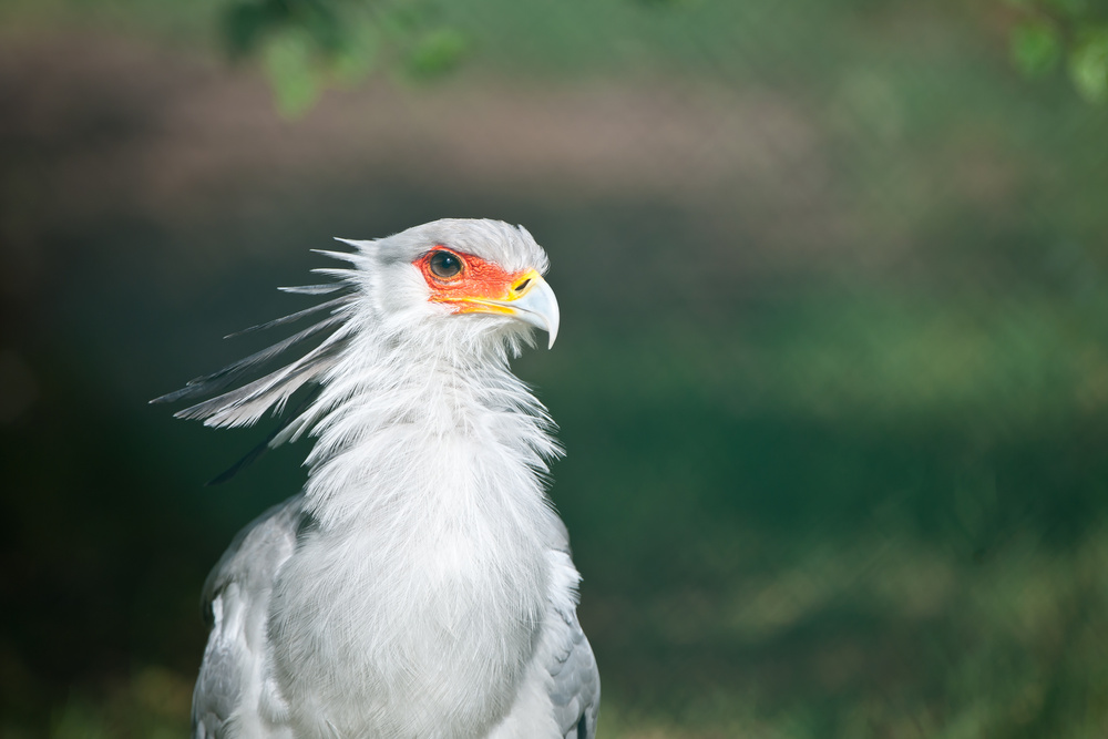 20100717 7511 [NIKON D700],400 mm,1 800 Sek. bei f   4,0 3