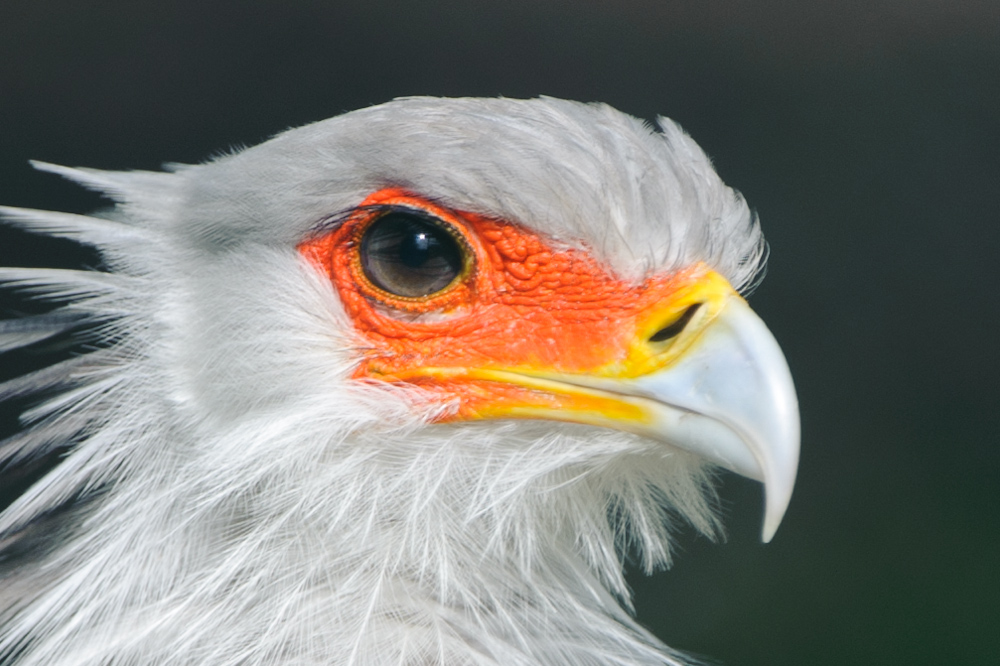 20100717 7511 [NIKON D700],400 mm,1 800 Sek. bei f   4,0