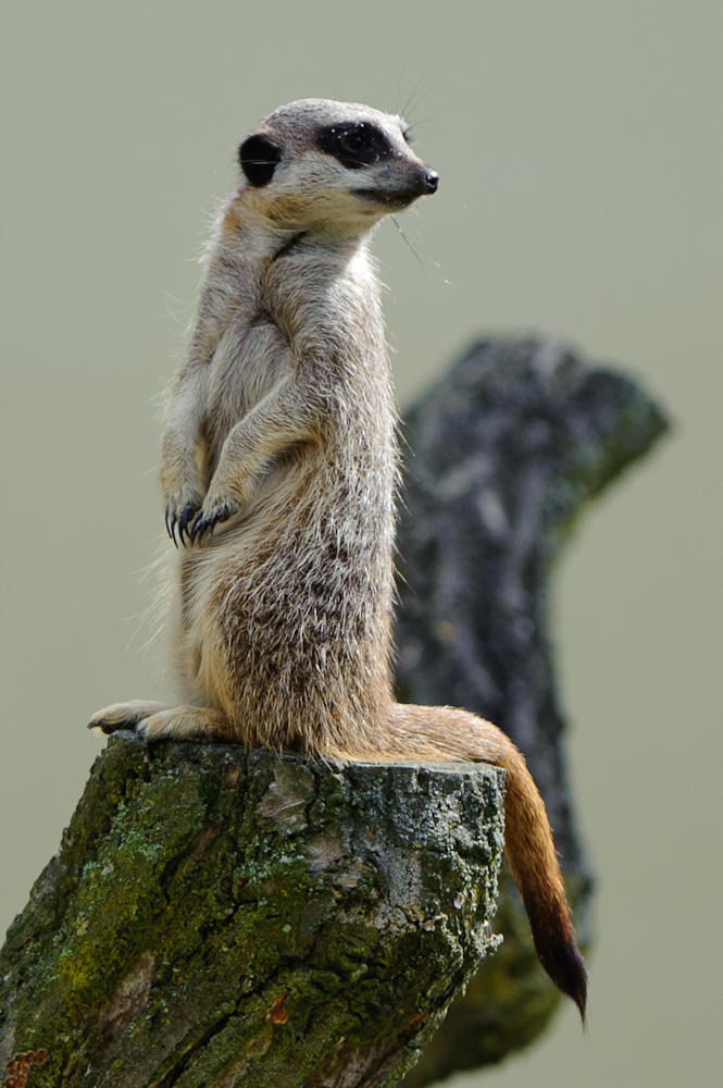 20100717 7553 [NIKON D700],240 mm,1 640 Sek. bei f   4,0