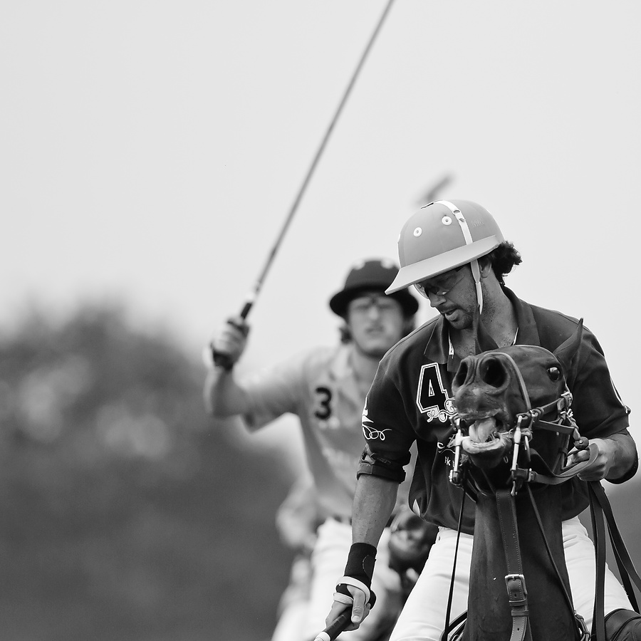20100801 1398 [NIKON D2Xs],300 mm,1 3200 Sek. bei f   2,8