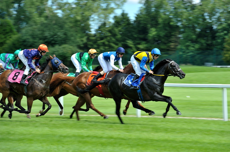 20100815 133208 galopprennen 05