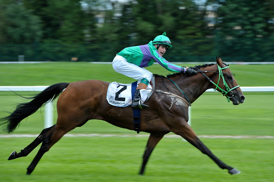 20100815 133410 galopprennen 06