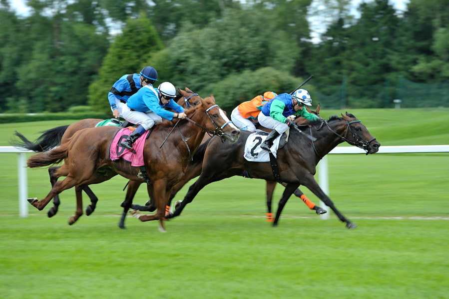 20100815 143753 galopprennen 16
