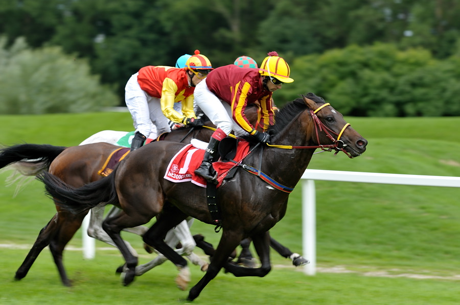 20100815 151131 galopprennen 20