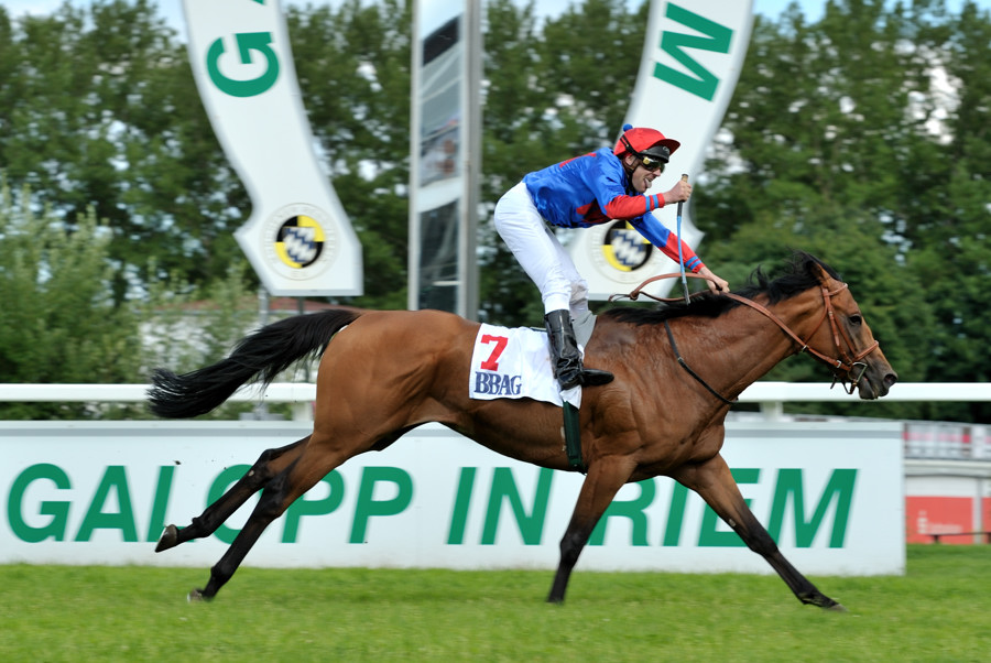 20100815 162509 galopprennen 21