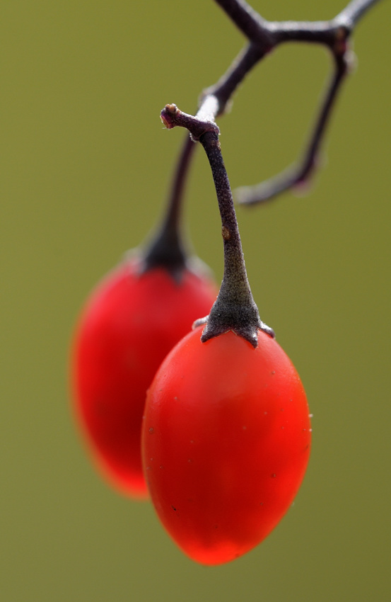 20100909 161846
