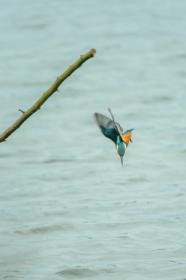 20100911 32079 [NIKON D3] 550 mm,1 500 Sek. bei f   5,6
