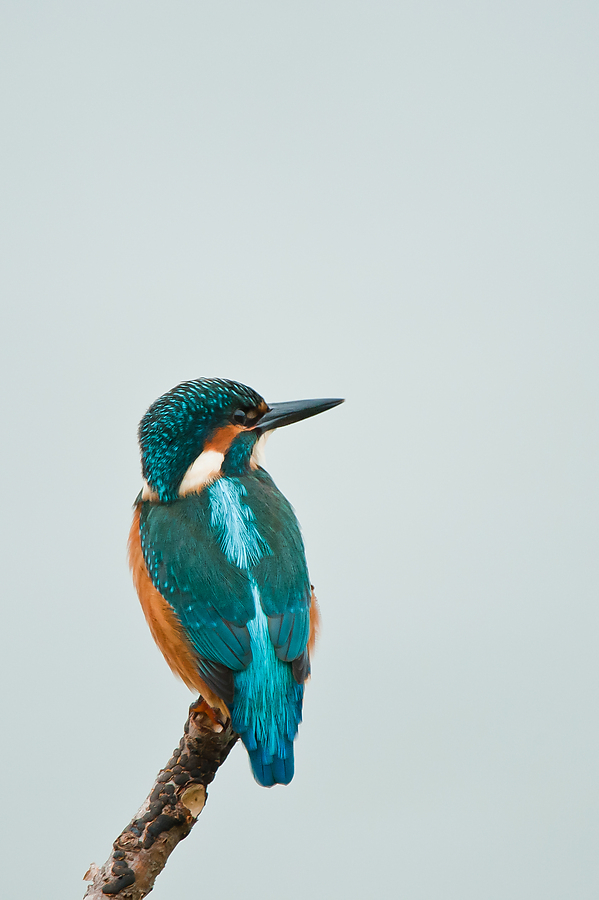 20100911 32092 [NIKON D3] 550 mm,1 400 Sek. bei f   5,6