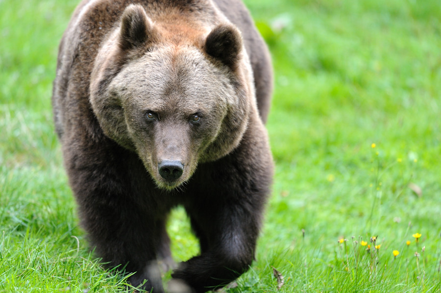 2010093014114424 hellabrunn