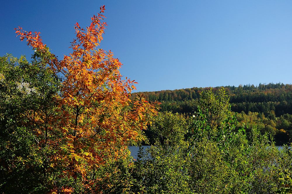 20101009