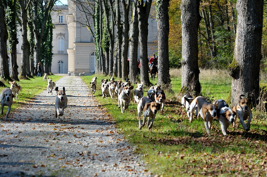 2010100914224440 herrenchiemsee 9