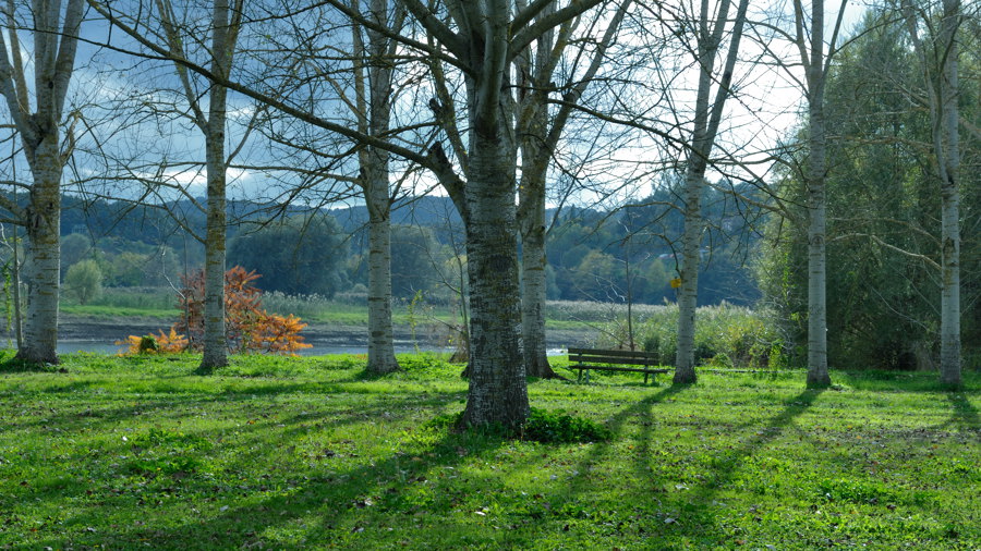 2010102315150416