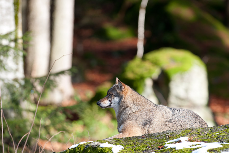 20101120 DSC 6855