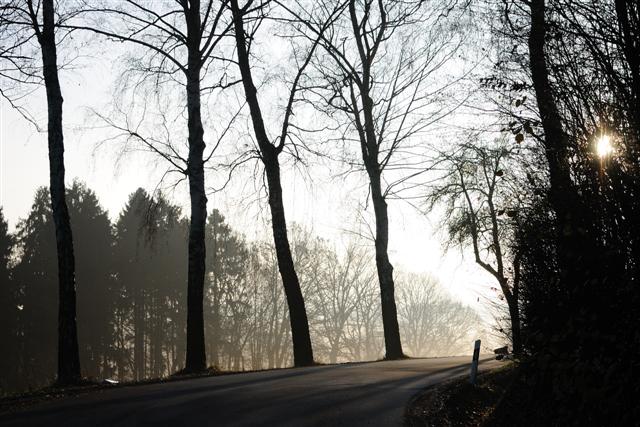 20101121 090834 (c)R.Wolf Lemgo (Small)