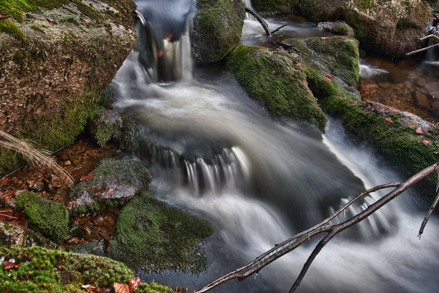 20101121 DSC 6949 HDR