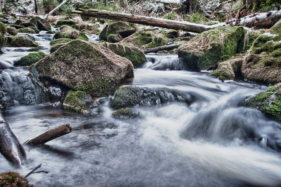 20101121 DSC 6962 HDR