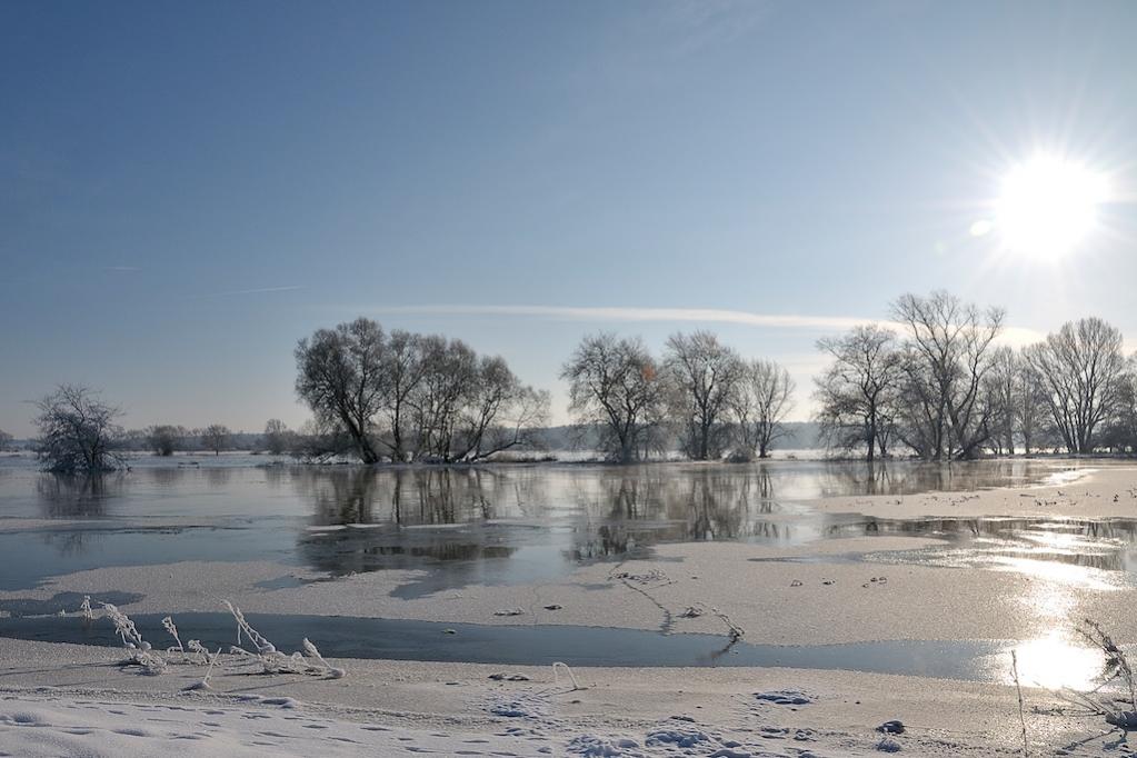 20101218 111255