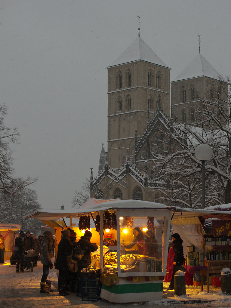 20101224 1000286 [DMC GH2] ,1 100 Sek.