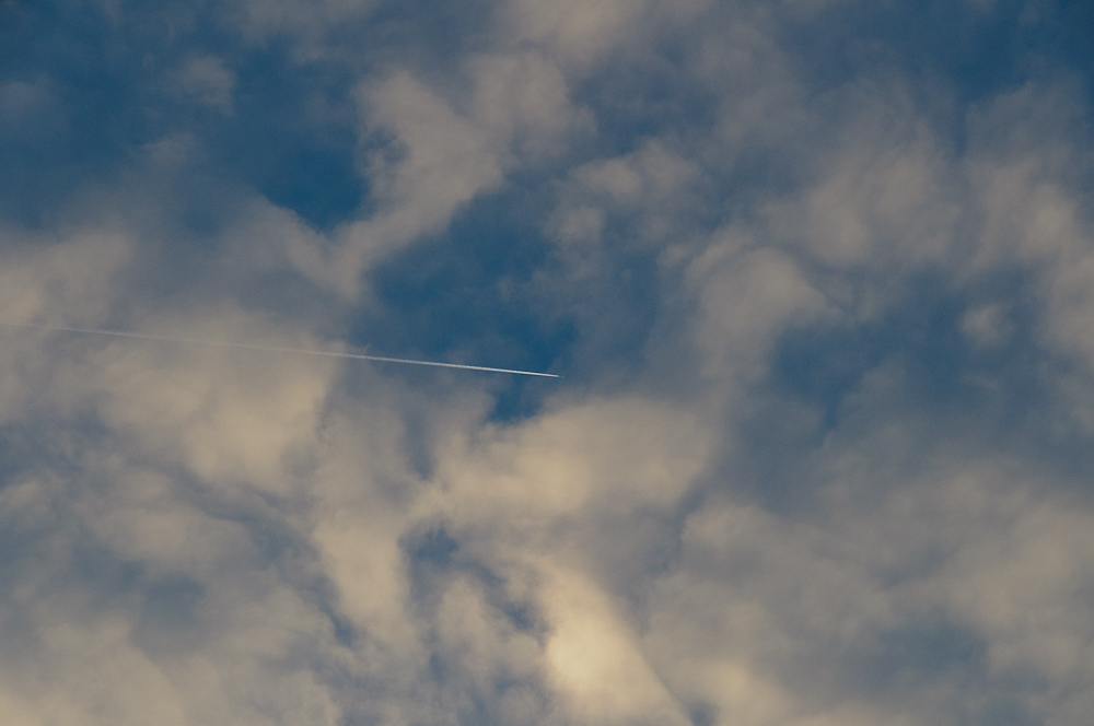 2011 01 04 09 29 42 1