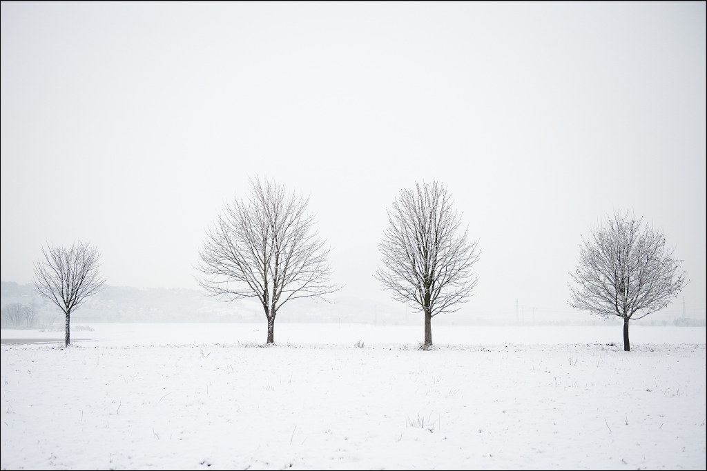 2011 01 24 08 53 06