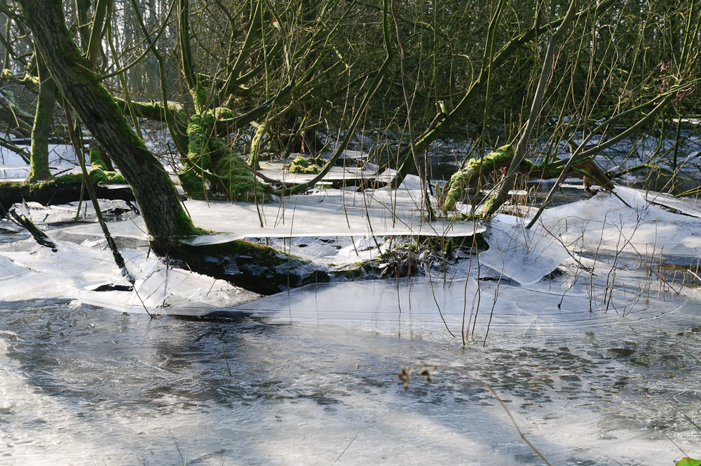 2011 01 29 12 24 42 1