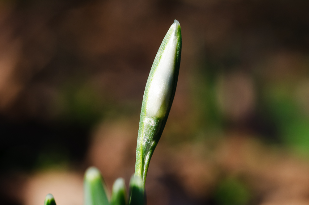 2011 01 29 13 35 27 1