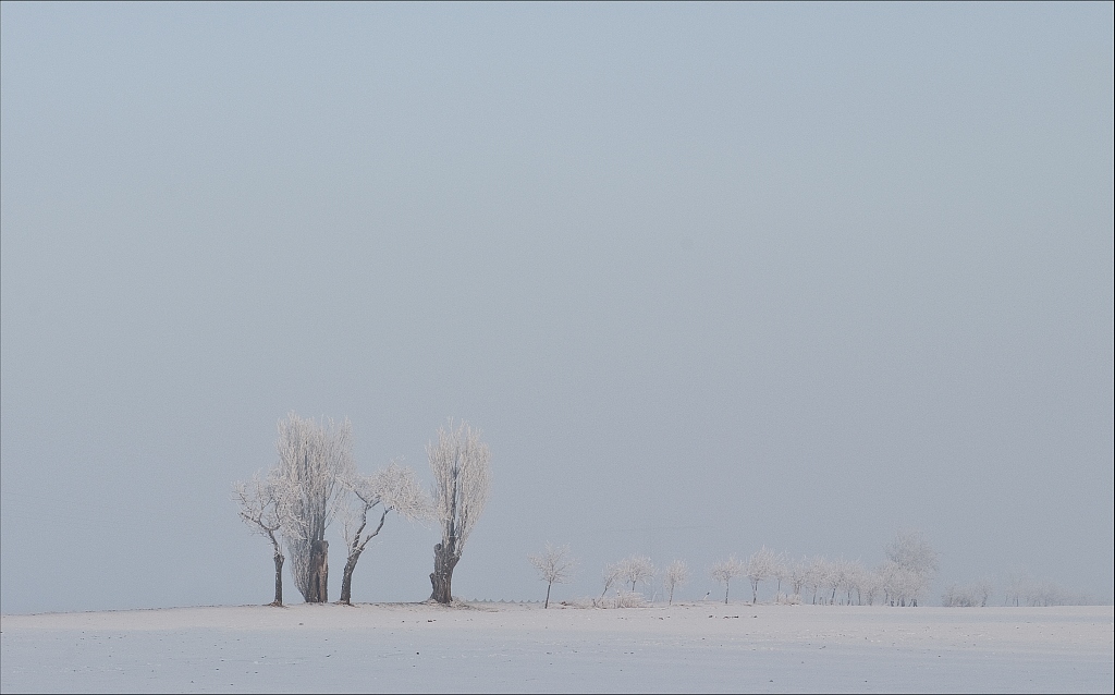 2011 02 01 08 31 50