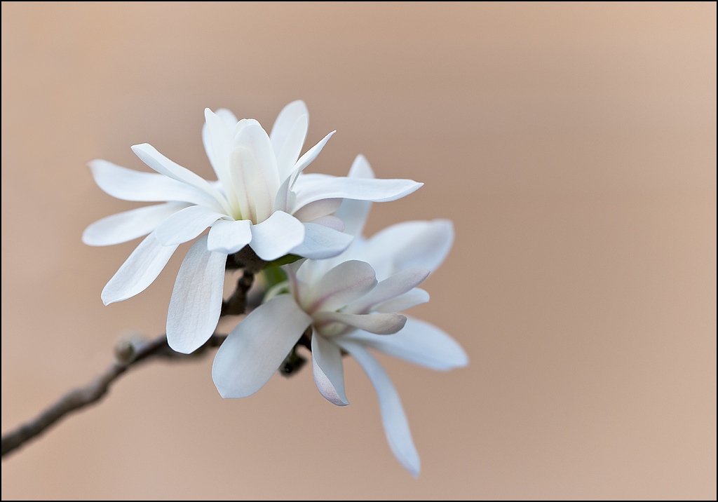 2011 04 03 15 44 31