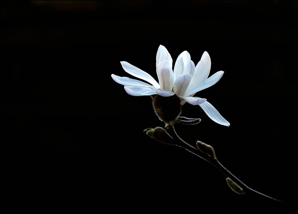 2011 04 03 15 46 06