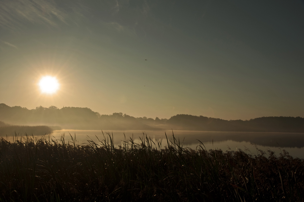 2011 10 02 7333 bearbeitet