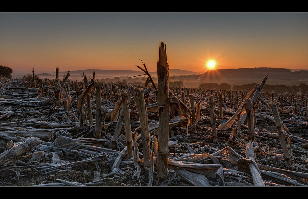 2011 10 23 DSC 2262 w