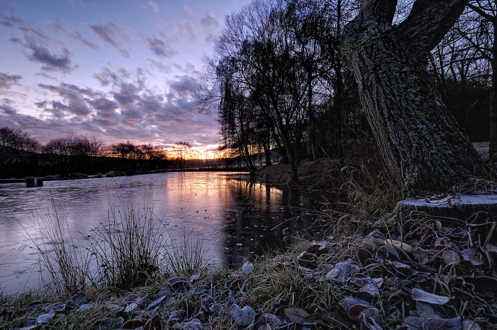 2011 11 23 DSC 2371 w2