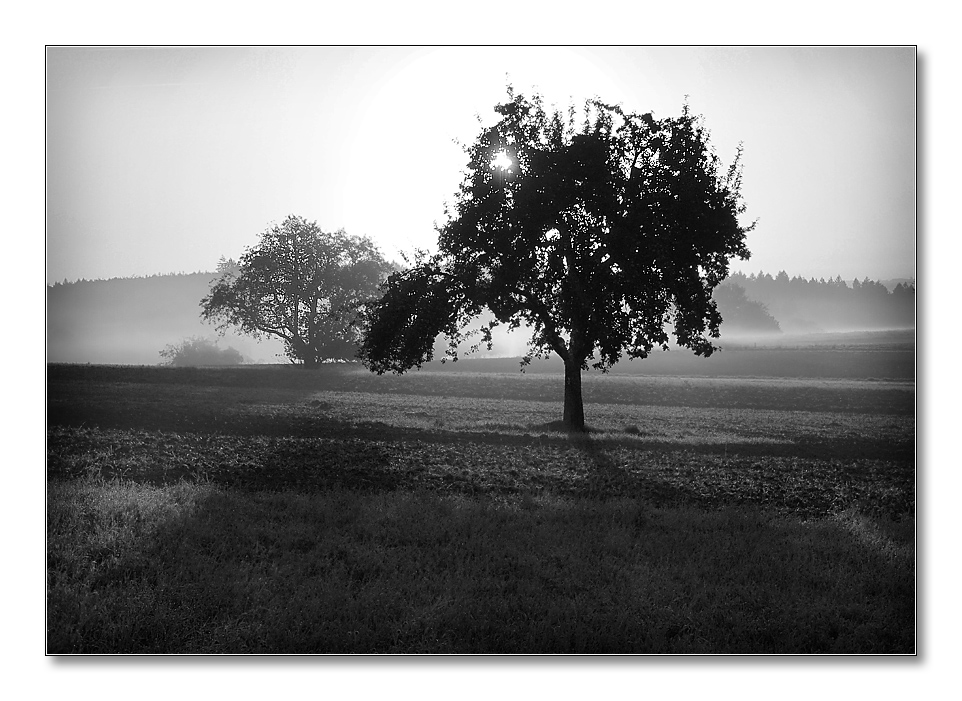 2011 herbst sw