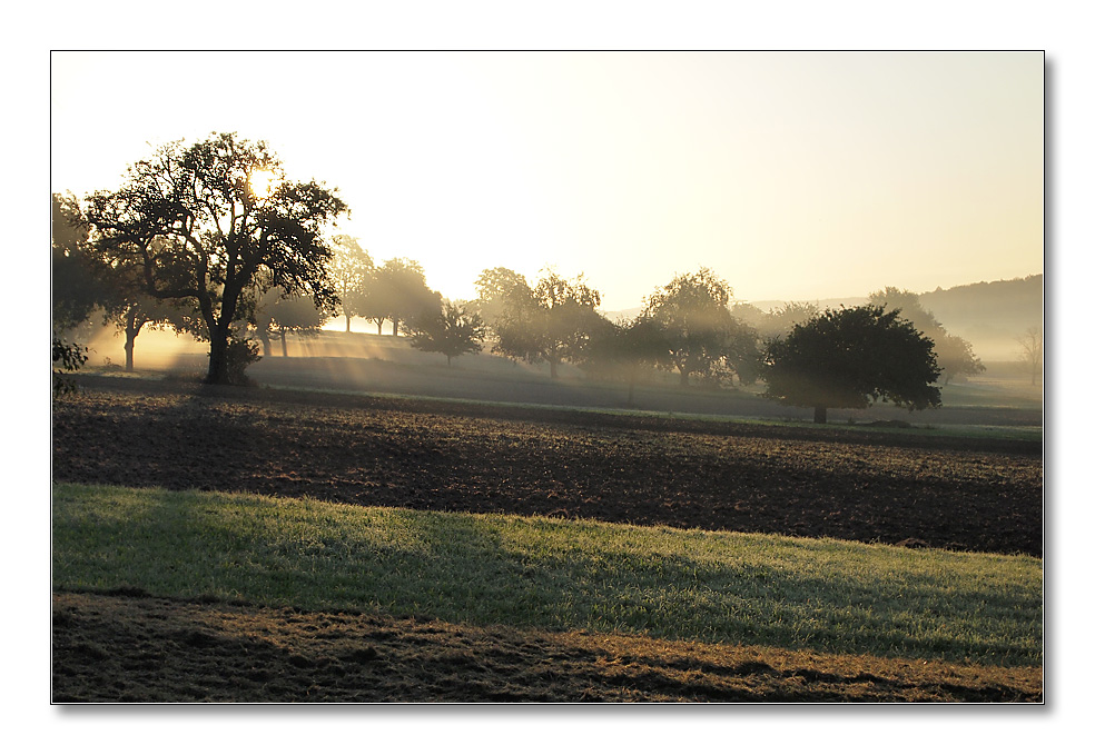 2011 herbst1