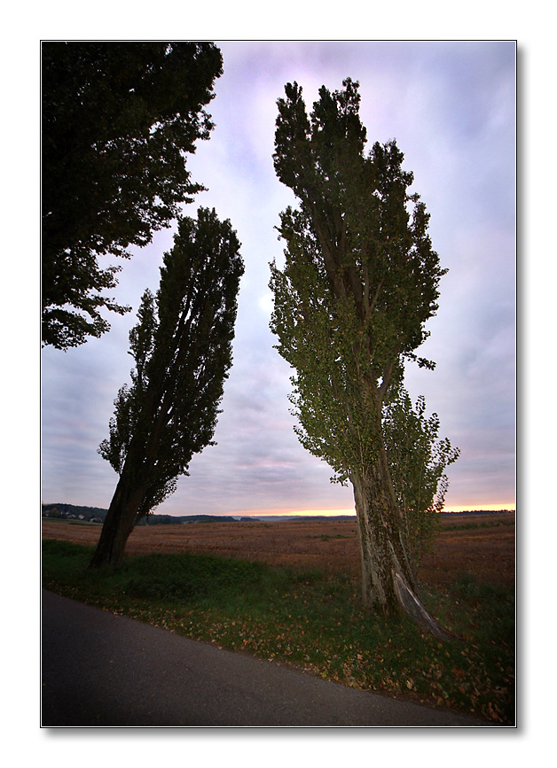 2011 herbst10